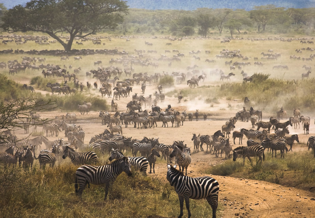Tanzanija