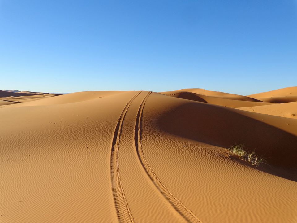 1476696_10152056287163188_247628786_n